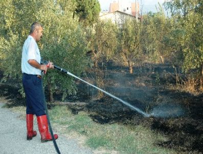 Devlet Bahçeli`nin Bahçesi Yandı