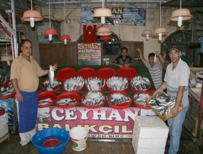 Kilis`te Balık Satışlarına Yoğun İlgi