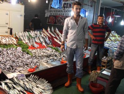 Marmara’nın Cömertliği Simavlılar`a Yaradı