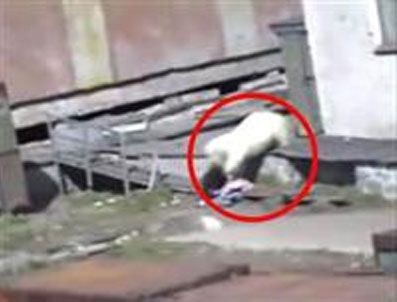 Rus kadına tuvalette ayı saldırdı