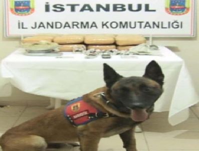 Şifreli Karpuzlara Jandarma Geçit Vermedi