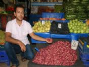 Kilis'te Antep Fıstığı Piyasaya Çıktı