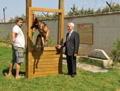 DÜNYA HAYVANLARı KORUMA GÜNÜ - Köpeklere Özel Park