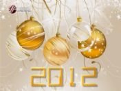 Milli Piyango yılbaşı çekiliş sonuçları (2012 Yeni Yıl Çekilişi)