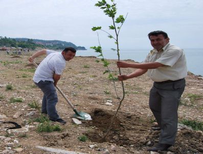 EREĞLI DEMIR ÇELIK - Gazeteciler Fidan Dikti