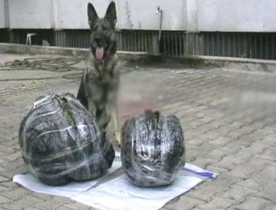 Trabzon'da Uyuşturucu Operasyonu