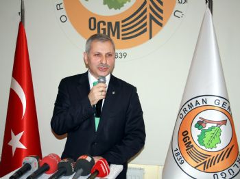 Bursa Ormanları, Yılda Yüzde 40 Büyüyor