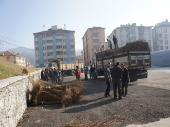 Meyve Bahçesi Kurmak İsteyenlere Yeni Fırsat