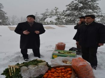 HALKıN SESI PARTISI - Aç Hayvanlar İçin Sırtlarında Taşıdıkları Yiyecekleri Ormana Bıraktılar