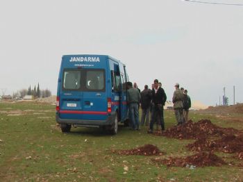 Şanlıurfa'da Taşlı Sopalı Kavga: 5 Yaralı