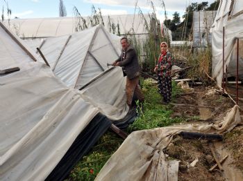 RECEP ÖZTÜRK - Alara Çayı Taştı 10 Ton Domates Çamur Altında Kaldı