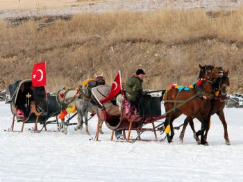 CEVAT ÇELIK - Çıldır Gölü'ndeki Etkinliğe Büyük İlgi