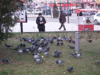 Heykel Meydanı'ndaki Güvercinler Ona Emanet
