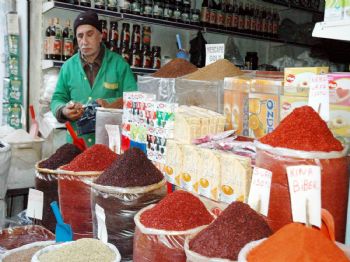 İsot, Gençlik İksiri İçeriyor