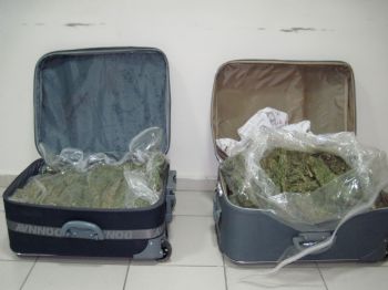 İzmir'de 55 Kg. Esrar Maddesi Ele Geçirildi