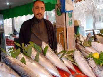 Şanlıurfa'da Balıklar Tezgahtaki Yerini Aldı