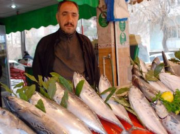 Şanlıurfa'da Balıklar Tezgahtaki Yerini Aldı