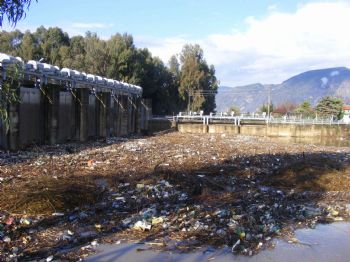 BÜYÜK MENDERES NEHRI - Taşkın Menderes’te Kirliliği Gözler Önüne Serdi