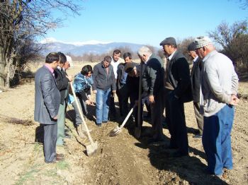Türkiye'de Elma Üretimi 2,5 Milyon Ton