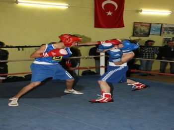 HALIS ARSLAN - Aldırmaz, Boks Seçmelerini İzledi