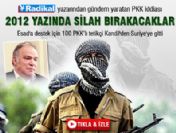 Özgürel: PKK 2012 yazı öncesi silah bırakacak