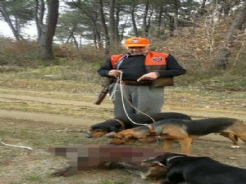 Piyango Talihlisi Ortadan Kayboldu