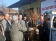 Savaştepe'de Köylülere Üzüm Fidanı Dağıtıldı