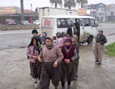 Zeytin İşçileri Ölümden Döndü