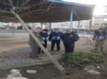 METIN DAĞ - Çiftlikköy Belediyesi'nden Kesilen Ağacı Kurtarmak İçin Seferberlik