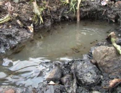 Haydarpaşa'da Denize Yağ Akıyor (özel)