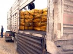 Kömür Altı Kaçak Sigara Sevkiyatı, Şanlıurfa Polisine Takıldı