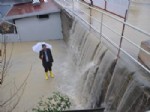 AVSALLAR - Şiddetli Yağış Su Baskınlarına Neden Oldu