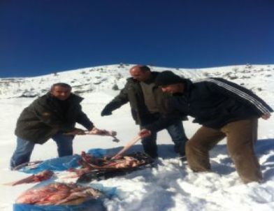 Yaban Hayvanları İçin Doğaya Yem