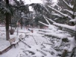 SÜLEYMANIYE CAMII - Kar, Çorlu’yu Beyaza Bürüdü
