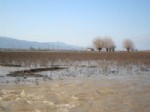 SARıKEMER - Tarım Arazileri Su Altında Kalanlar Yaralarını Sarmaya Çalışıyor