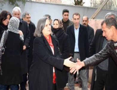 Bdp Eş Genel Başkanı Kışanak Kurtalan'da