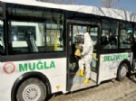 MUĞLA BELEDIYESI - Toplu Ulaşım Araçları Dezenfekte Edildi