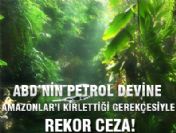 Amazonları kirletmeye rekor ceza