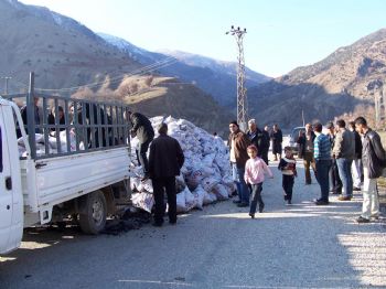 OĞUZHAN BULUT - Mutki'de Bin 200 Ton Kömür Dağıtılacak