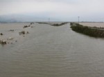 ASI NEHRI - Hatay'da Tarım Arazileri Sular Altında Kaldı