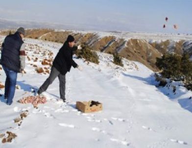 Kırıkkale'de Yabani Hayvanlar İçin Doğaya Yem Bırakıldı