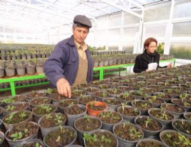 Marmaris’e Modern Sera Alanı Kazandırıldı