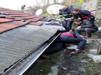 İki Duvar Arasına Sıkışan Köpek İtfaiye Tarafından Kurtarıldı