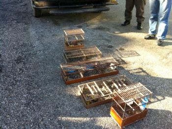 Yakaladığı 33 Kuş İçin 11 Bin 592 Lira Ceza Ödedi