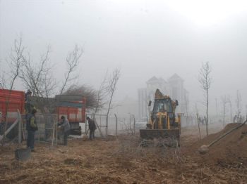 MEHMET HANÇERLI - Karatay'a Pelit Ormanı Kazandırılıyor