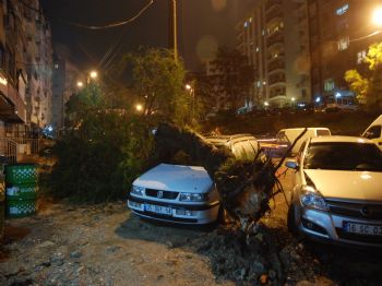 İzmir Şiddetli Fırtına ve Yağışın Etkisi Altında