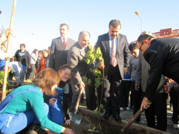 KAMIL KıCıROĞLU - Mersin’de Bal Ormanları Kurulacak