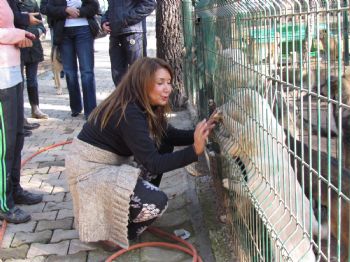 YONCA EVCİMİK - Tuzla'da Doğal Yaşam Parkı Sahipsiz Hayvanların Sıcak Yuvası Oldu