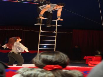 ATLANTIS - Vahşi Hayvanlardan Muhteşem Gösteri