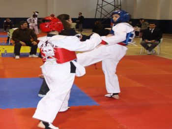 Taekwondo Gençler ve Büyükler Samsun İl Seçmesi Başladı
